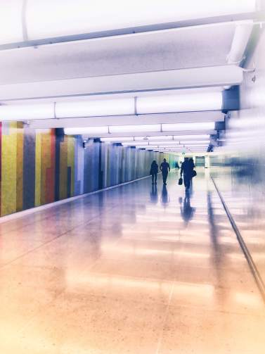 img_20180914_084503_hdr-01